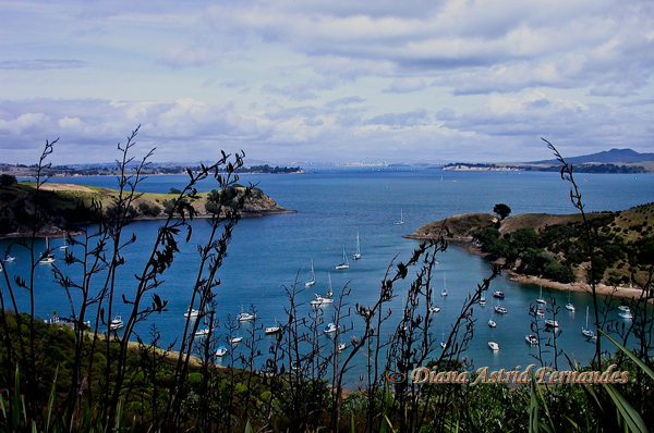 New-Zealand-North-Island-view-towards-Auckland